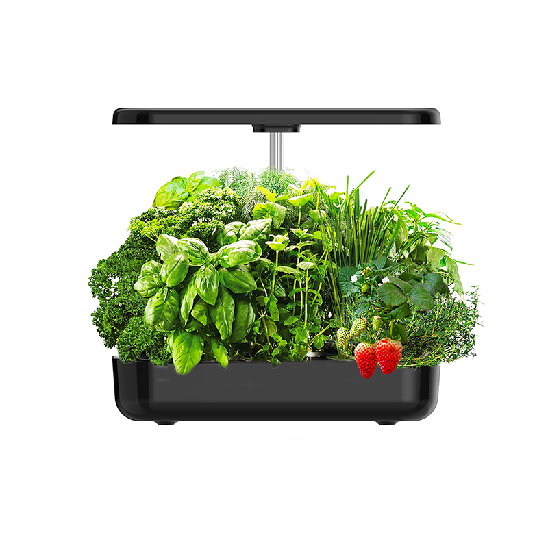 System hydroponiczny z 12 wkła – Smart Pod Garden recenzja i cena