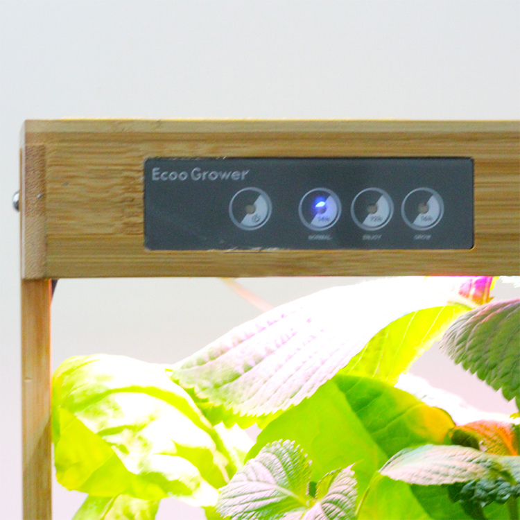 System hydroponiczny do uprawy – Smart Pod Garden recenzja i cena