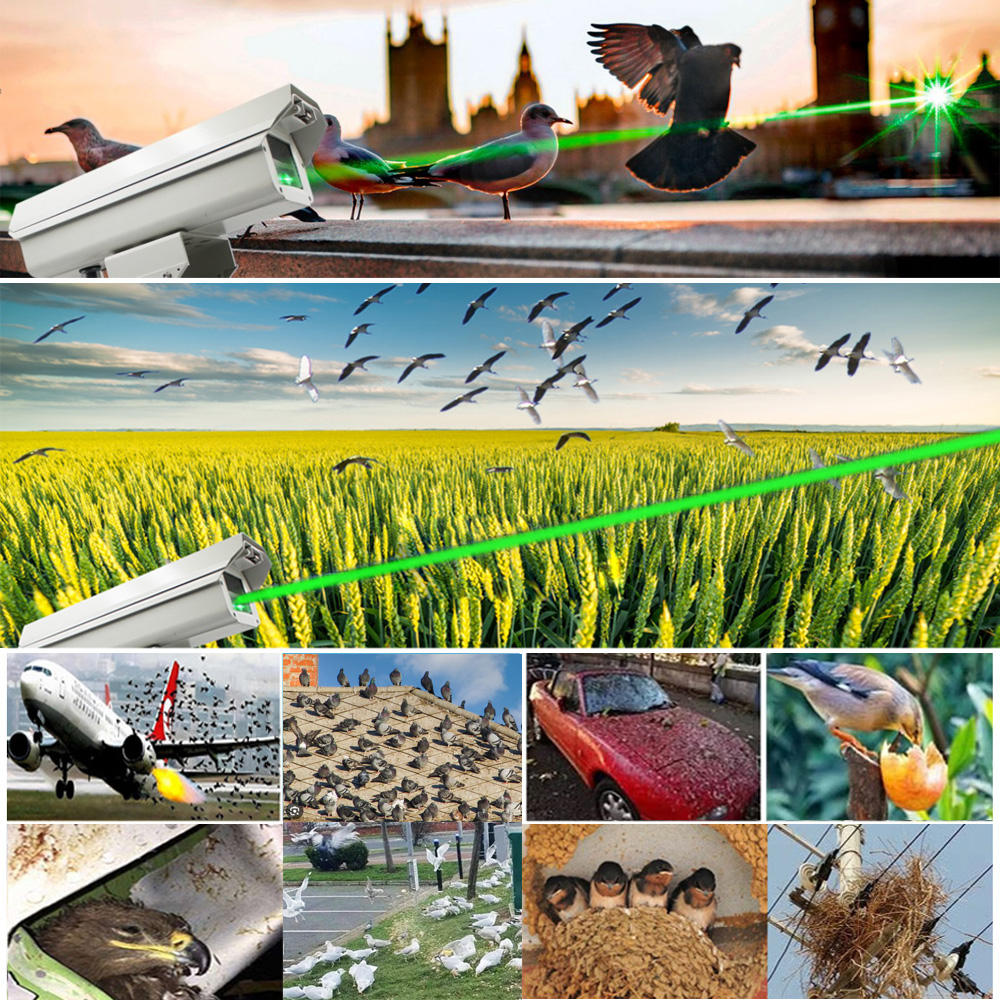 Inteligentny odstraszacz ptakó – Smart Garden Is recenzja i cena