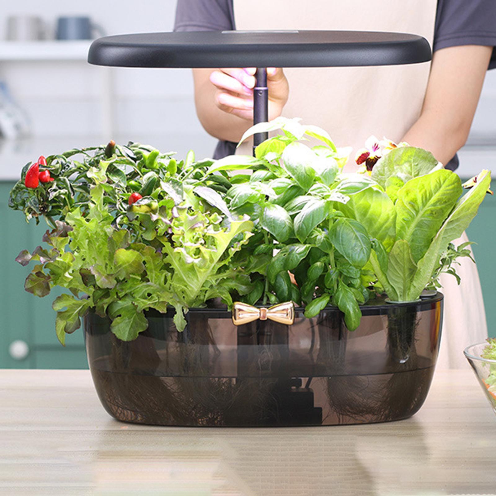 Lekki, przenośny system hydrop – Smart Pod Garden recenzja i cena
