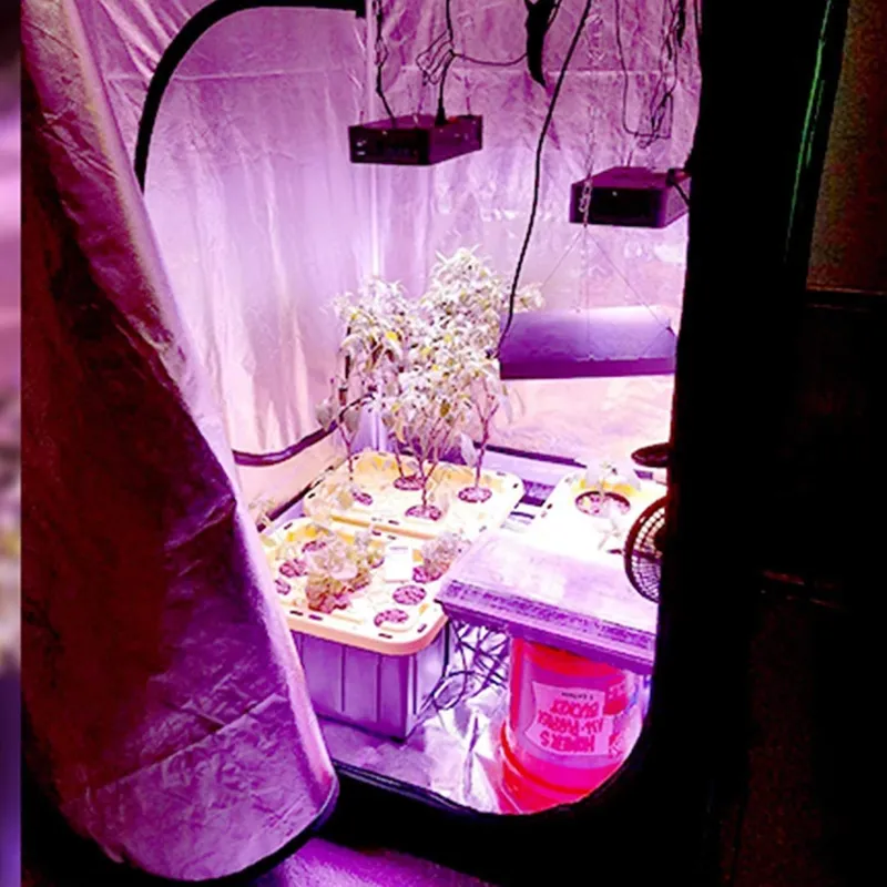Kompletny zestaw do hydroponik – Grow Tent Complete Kit recenzja i cena