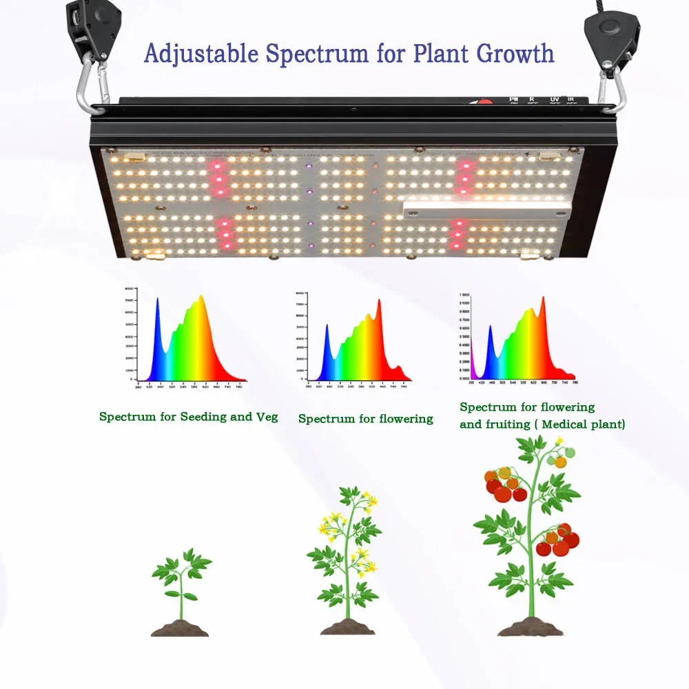 BAVAGREEN System Hydroponiczny – Grow Tent Complete Kit recenzja i cena