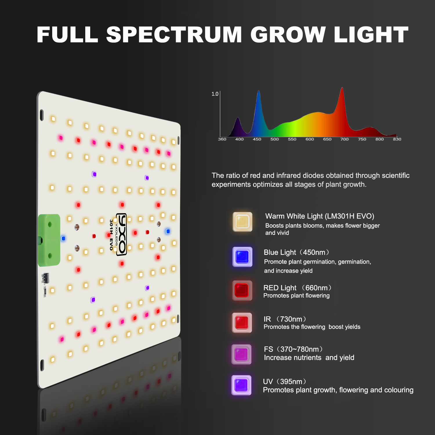 85W 180W LM301H EVO Quantum LE – Grow Tent Complete Kit recenzja i cena