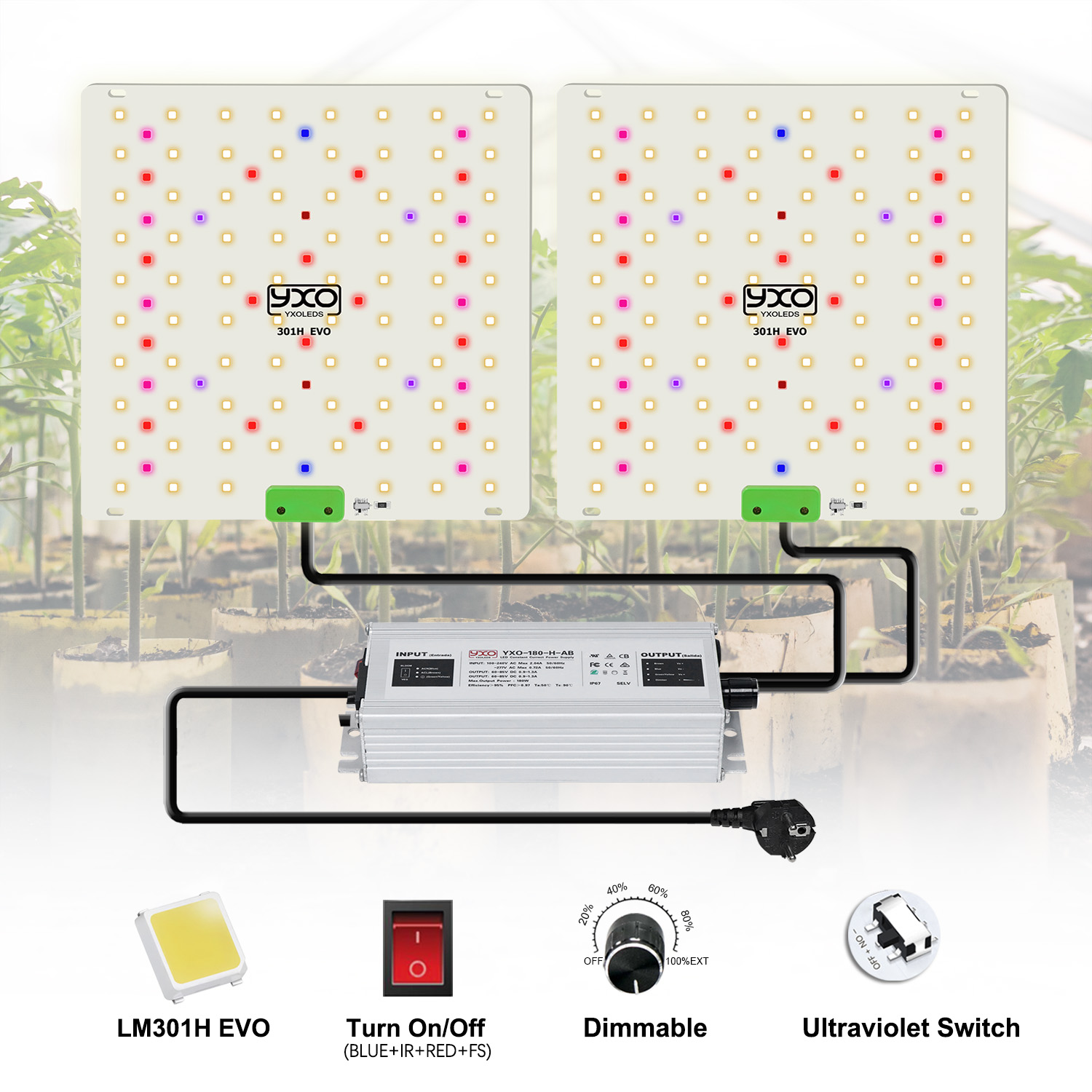 85W 180W LM301H EVO Quantum LE – Grow Tent Complete Kit recenzja i cena