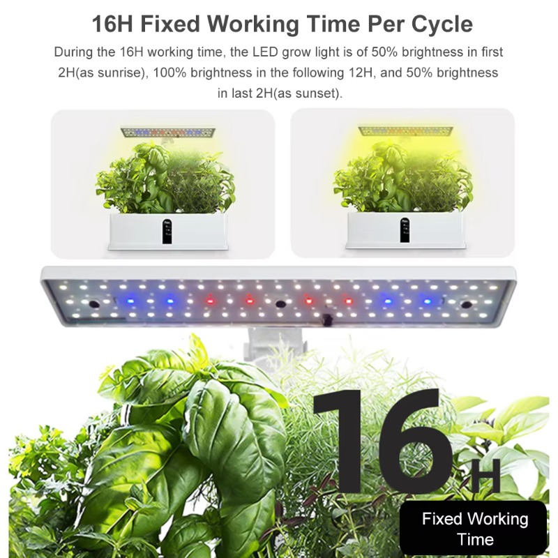 9-komórkowy inteligentny syste – Smart Pod Garden recenzja i cena