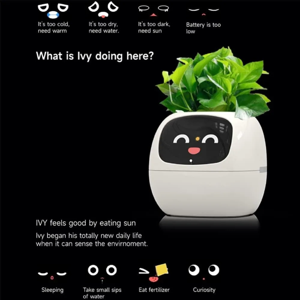 Inteligentna doniczka z chipem – Smart Garden Offices recenzja i cena