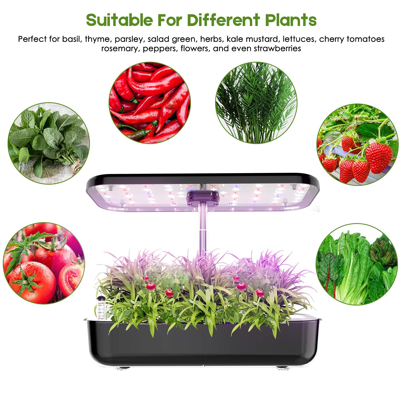 System uprawy hydroponiki 12 s – Smart Pod Garden recenzja i cena