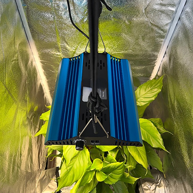 Namiot dla roślin 60*60*160cm  – Grow Tent Complete Kit recenzja i cena